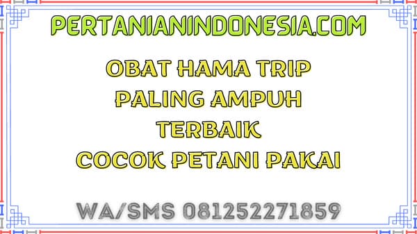 Obat Hama Trip Paling Ampuh Terbaik Cocok Petani Pakai